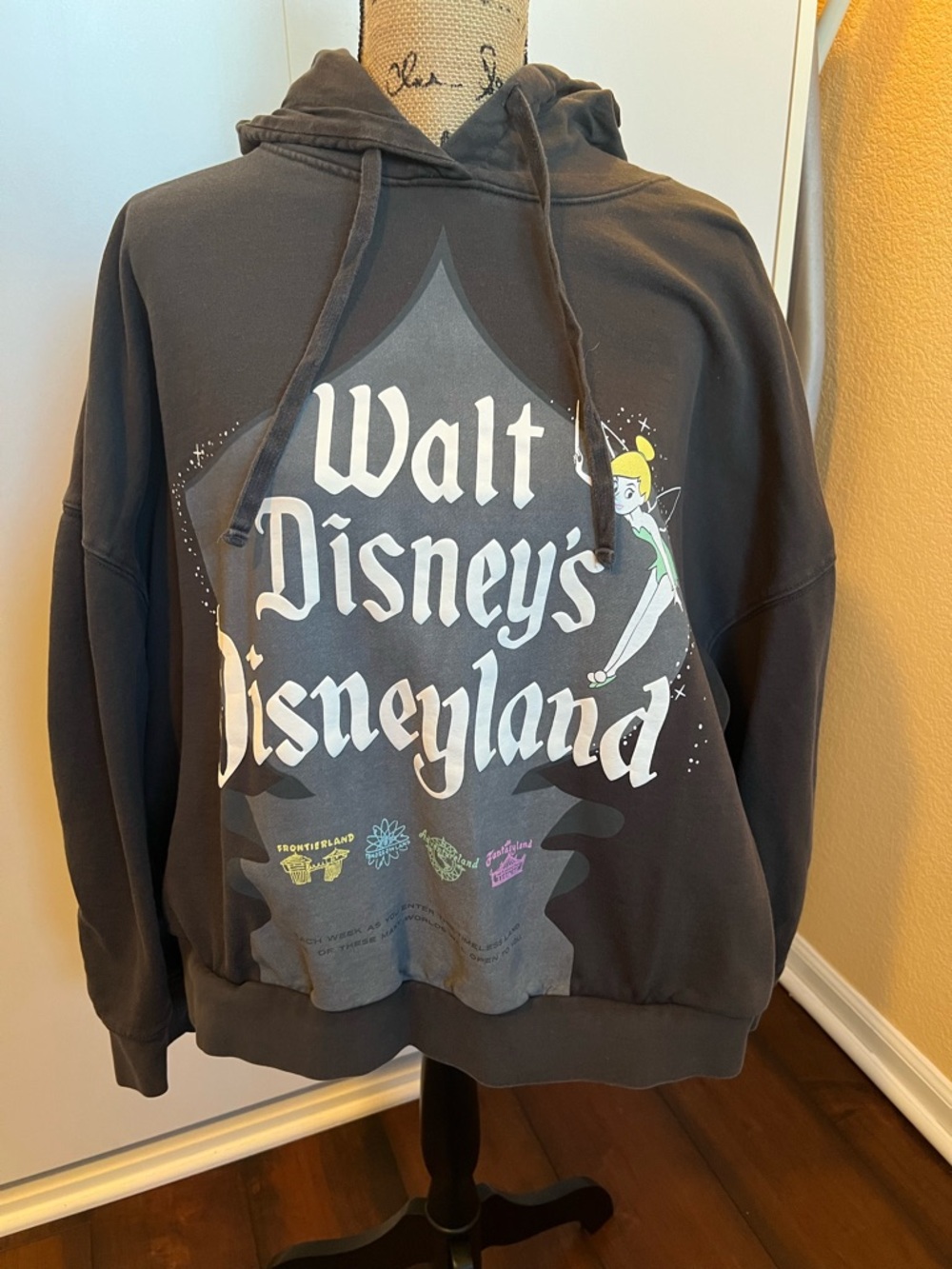 Disney Parks Charcoal Walt Disney's Disneyland Graphic Hoodie